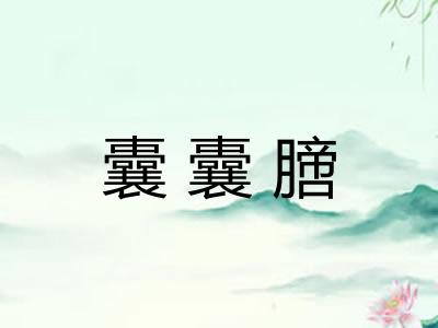 囊囊膪