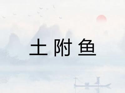 土附鱼