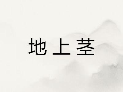 地上茎