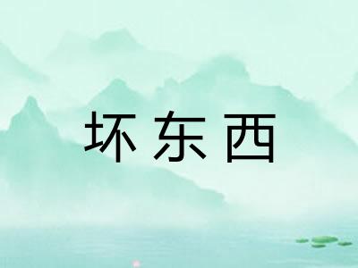 坏东西