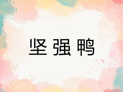 坚强鸭