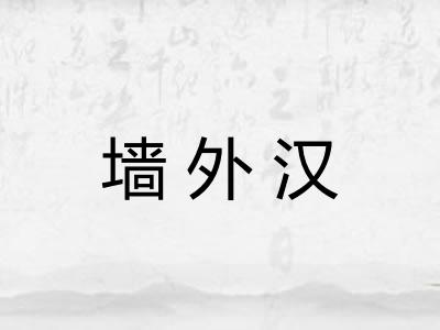 墙外汉