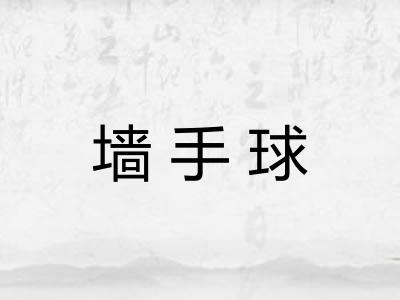 墙手球