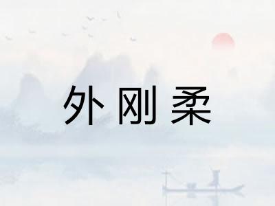 外刚柔