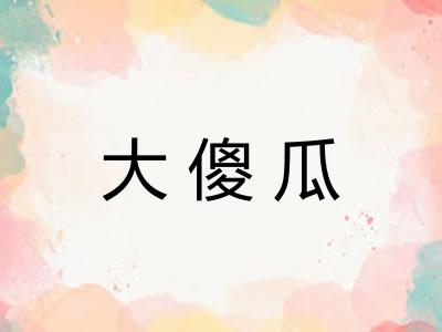 大傻瓜