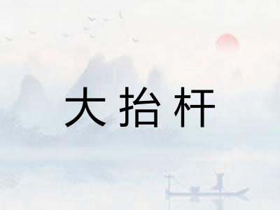 大抬杆