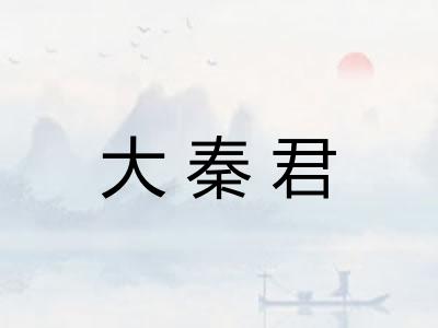 大秦君
