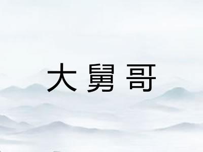 大舅哥