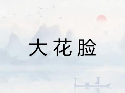 大花脸