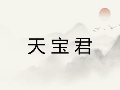 天宝君