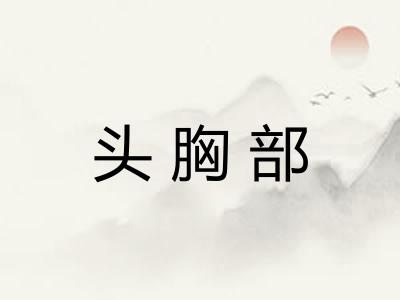 头胸部