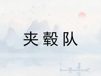 夹毂队