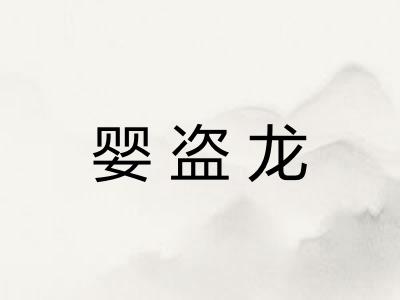 婴盗龙