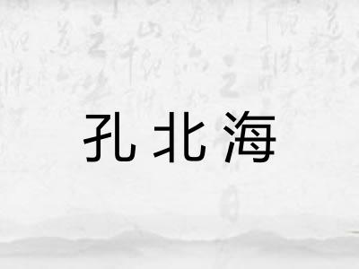 孔北海