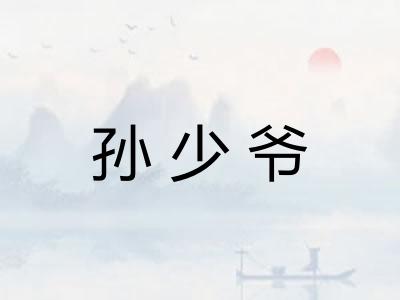 孙少爷
