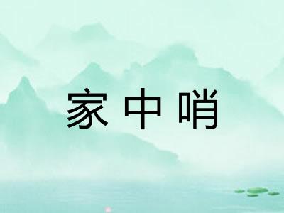 家中哨