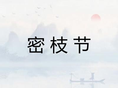 密枝节
