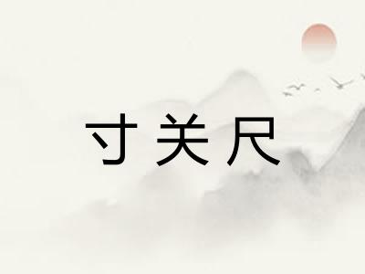寸关尺