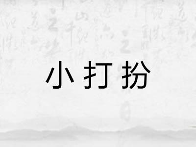 小打扮