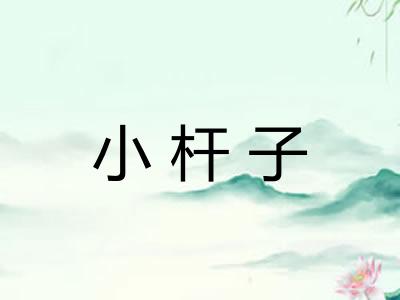 小杆子
