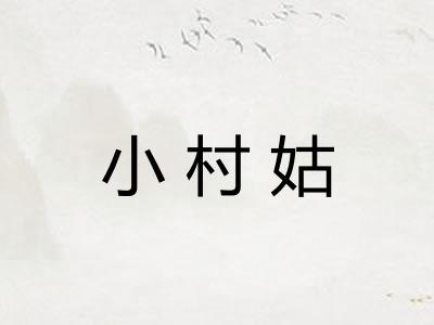 小村姑