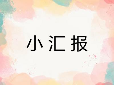 小汇报
