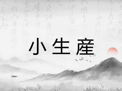 小生産