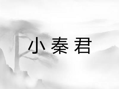 小秦君