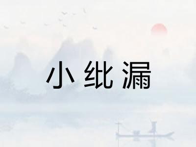 小纰漏