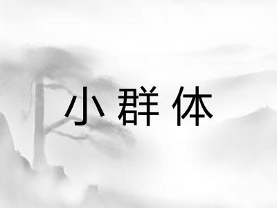 小群体