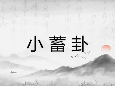 小蓄卦