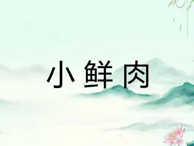 小鲜肉
