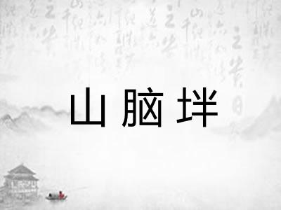 山脑坢