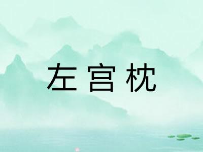 左宫枕