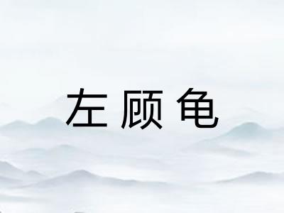 左顾龟