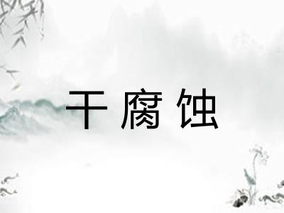 干腐蚀