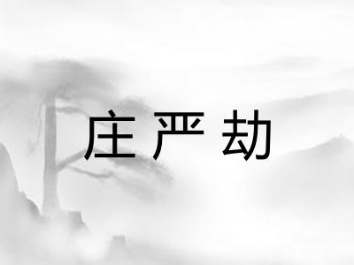 庄严劫