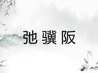 弛骥阪