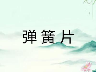 弹簧片