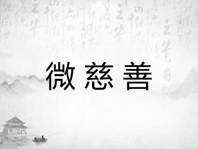 微慈善
