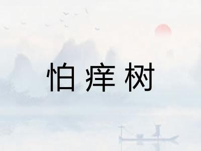 怕痒树