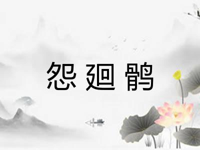 怨廻鹘