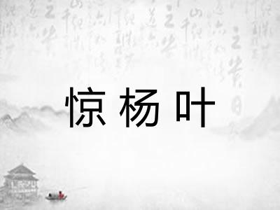 惊杨叶
