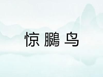 惊鵩鸟