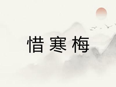 惜寒梅