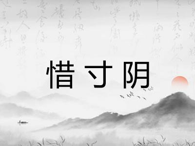 惜寸阴