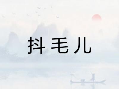 抖毛儿