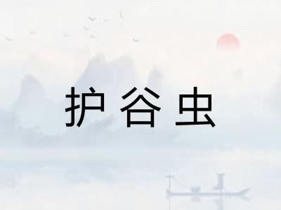 护谷虫