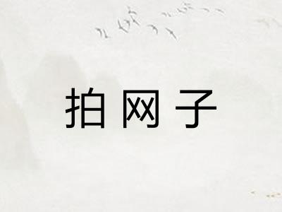 拍网子