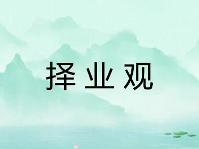 择业观